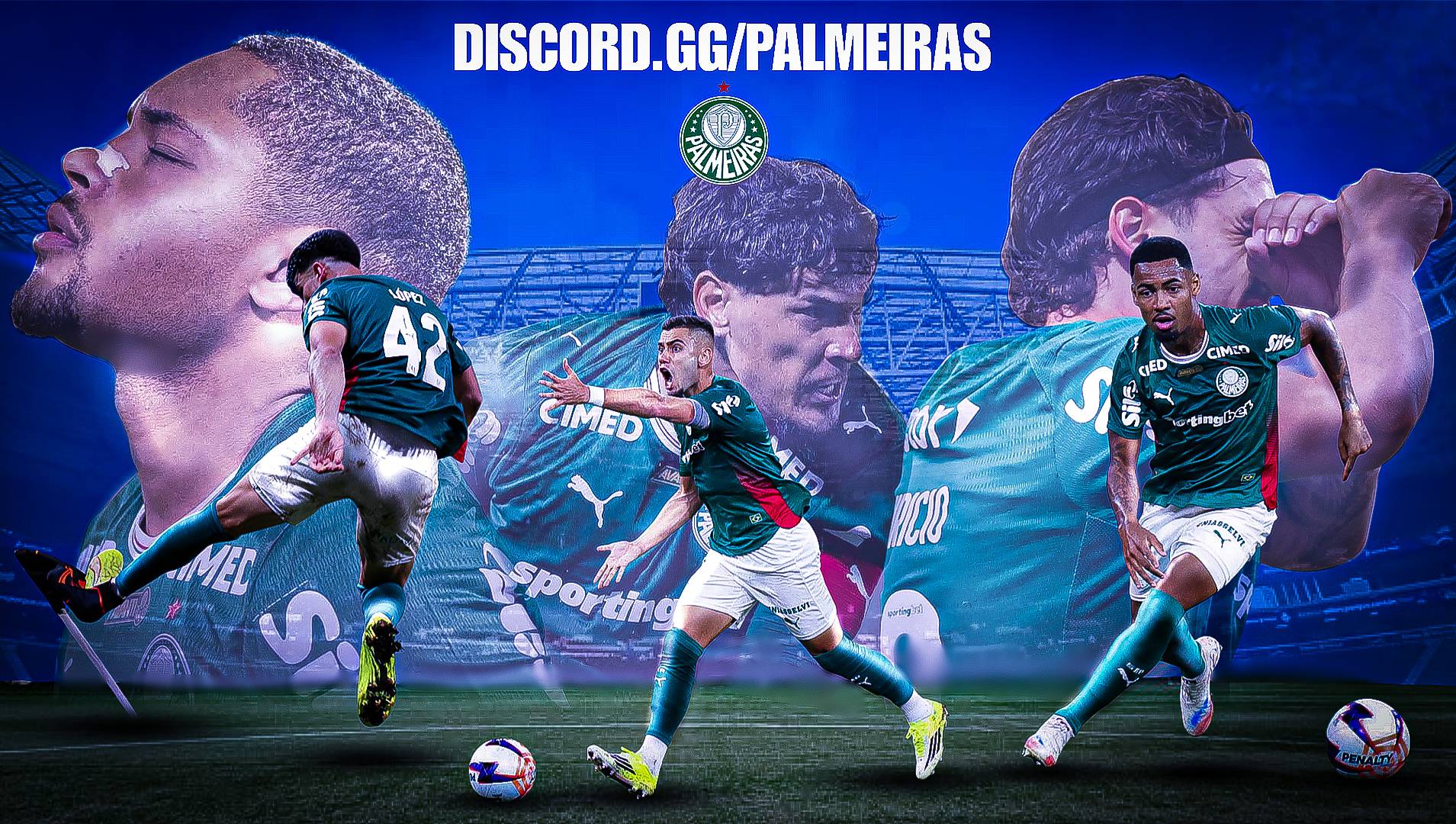 Discovery splash banner for SE Palmeiras Discord server