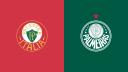 Discovery splash banner for SE Palmeiras • 1914 Discord server