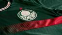 Discovery splash banner for SE Palmeiras Discord server