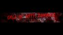 Discovery splash banner for Call of Duty: Zombies Discord server