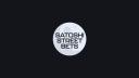 Discovery splash banner for SatoshiStreetBets Discord server