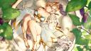 Discovery splash banner for Yuzu's Shrine Discord server