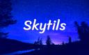 Discovery splash banner for Skytils Discord server