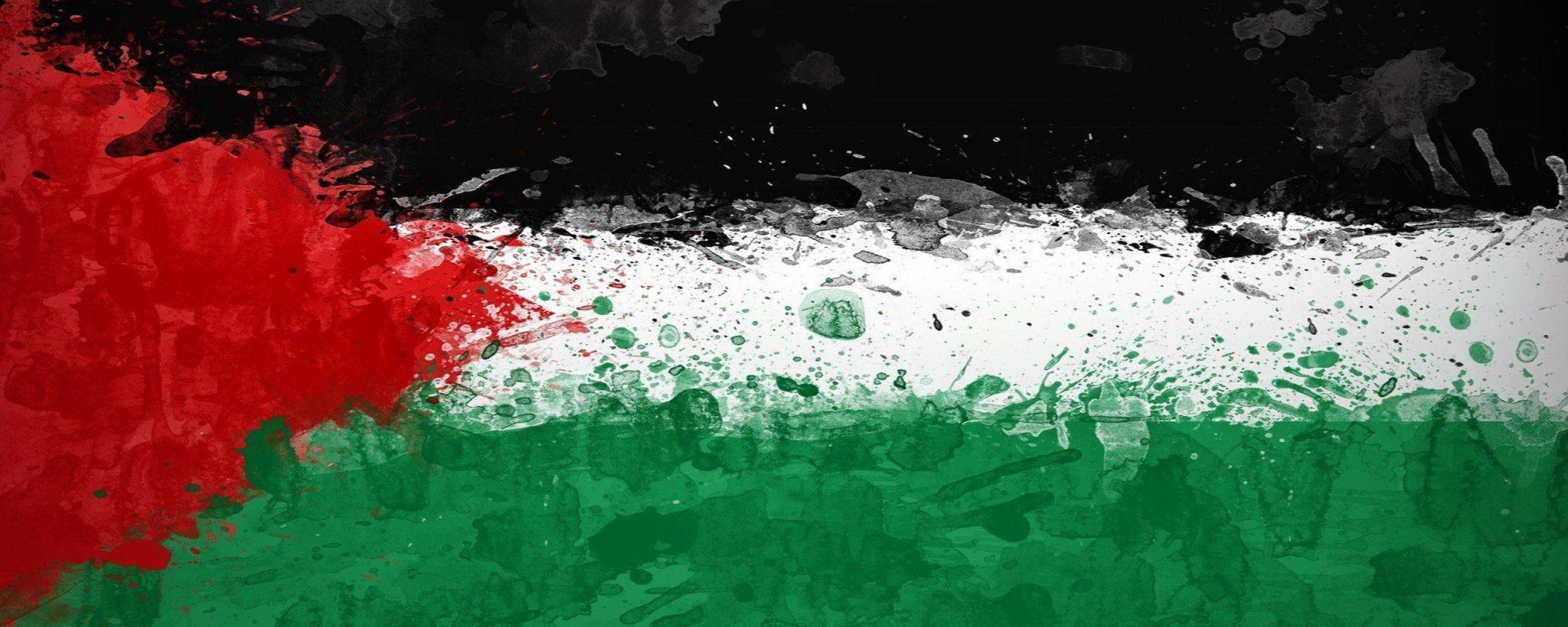 Discovery splash banner for Progressives & Leftists Discord server