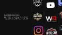 Discovery splash banner for W2R ESPORTS 🇮🇳  #100k Discord server