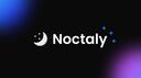 Discovery splash banner for Noctaly Support Discord server