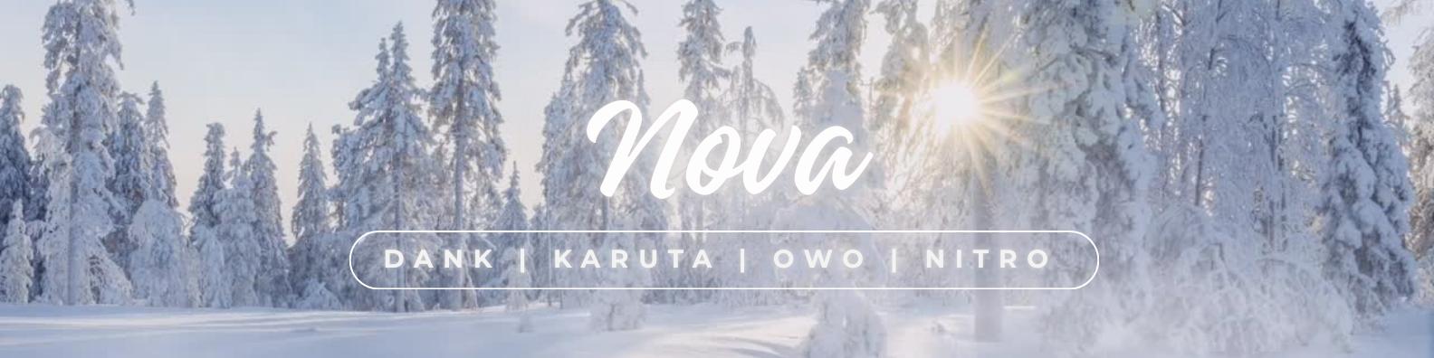 Discovery splash banner for Nova Discord server