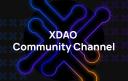 Discovery splash banner for XDAO Discord server