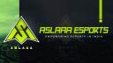 Discovery splash banner for ASLAAA ESPORTS Discord server
