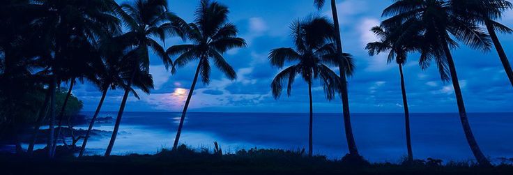 Discovery splash banner for π Chill Tavern . Discord server