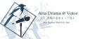 Discovery splash banner for Aria Drama & Voice Discord server