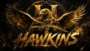 Discovery splash banner for Hawkins Discord server
