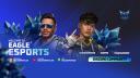 Discovery splash banner for EAGLE ESPORTS Discord server
