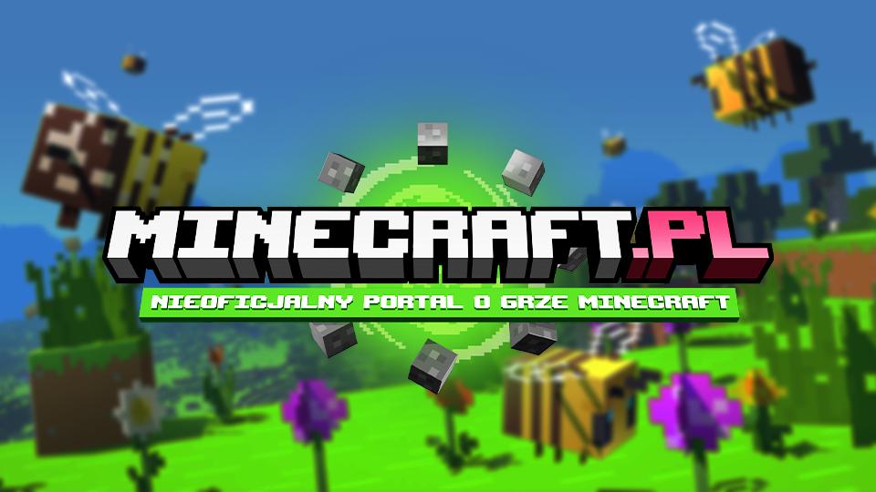 Discovery splash banner for Minecraft.pl Discord server