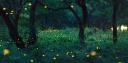 Discovery splash banner for Kai's Haven: A Mental Wellness Community Discord server
