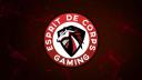 Discovery splash banner for Esprit De Corps Gaming Discord server