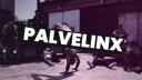 Discovery splash banner for Palvelin X Discord server
