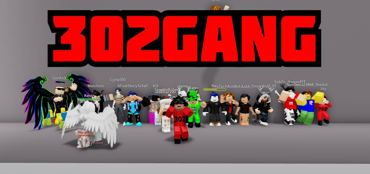 Discovery splash banner for Team302 Discord server