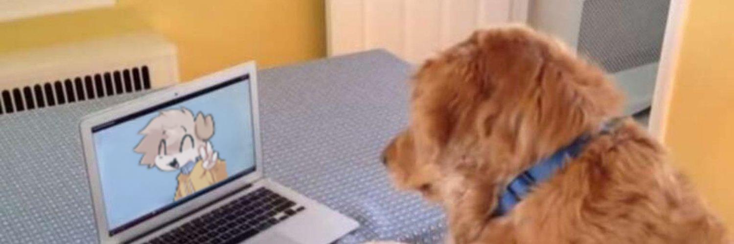 Discovery splash banner for narpy Discord server