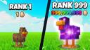 Discovery splash banner for Chicken Farm: Roblox Discord server