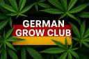 Discovery splash banner for 🌱German Grow Club🌱 Discord server