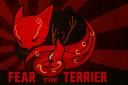 Discovery splash banner for Le Terrier Discord server