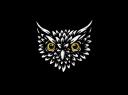 Discovery splash banner for 🦉 Tổ Cú Discord server