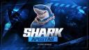 Discovery splash banner for SHARK🦈40K FREE FIRE・Apostado ff・4v4 Discord server