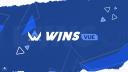 Discovery splash banner for WINS PVP #VUE Discord server
