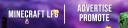 Discovery splash banner for Minecraft LFG ⢠Advertise ⢠Promote Discord server
