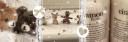 Discovery splash banner for ♩ ﹒ 🧸 ⁺  bangtan ⋏ . bts . kpop . decor Discord server
