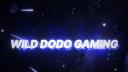 Discovery splash banner for Wild Dodo Gaming Discord server