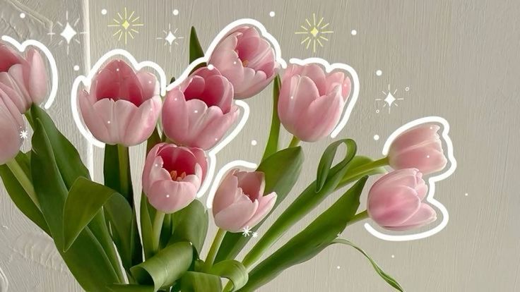 Discovery splash banner for Sälma Discord server