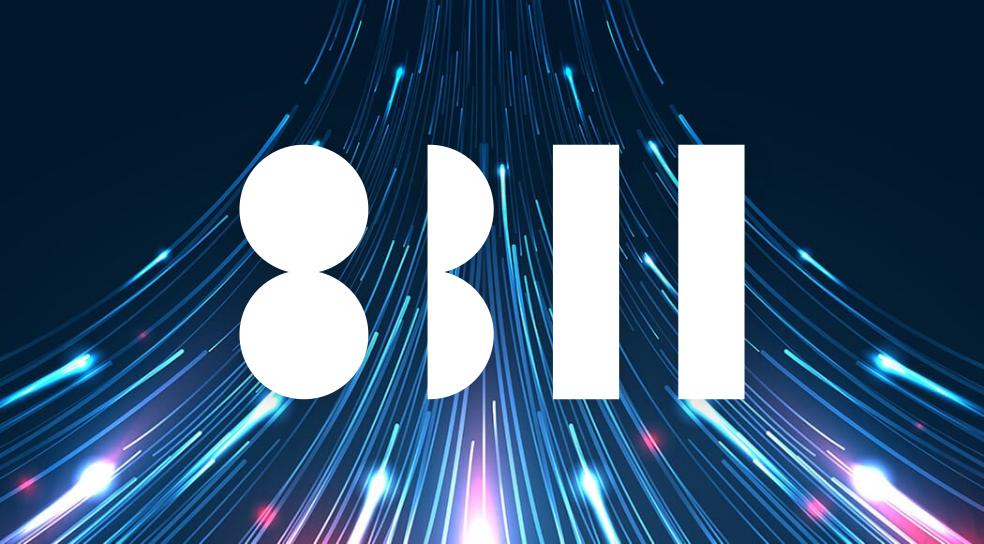 Discovery splash banner for 8311 Discord server