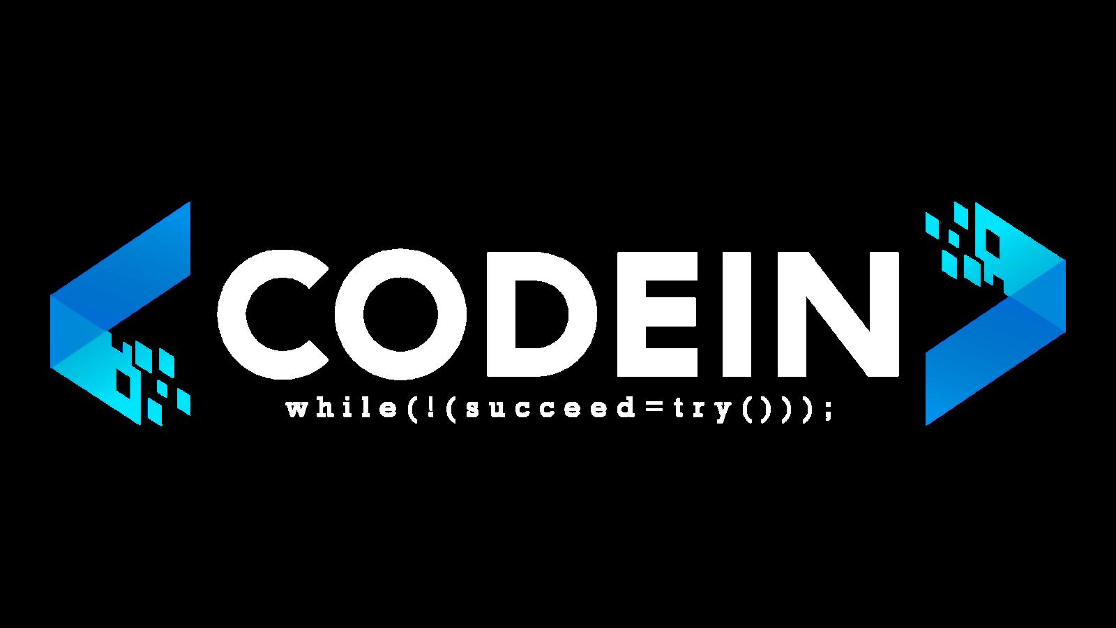 Discovery splash banner for CODEIN Discord server