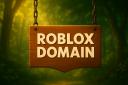 Discovery splash banner for Roblox Domain Discord server