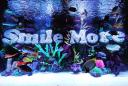 Discovery splash banner for Roman Atwood's Discord Discord server