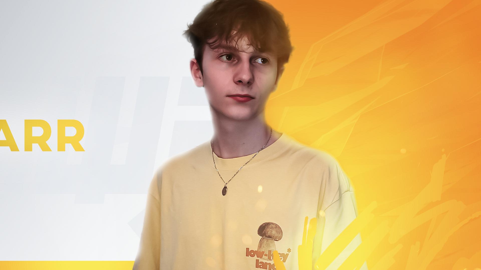 Discovery splash banner for Folwarolandia Discord server