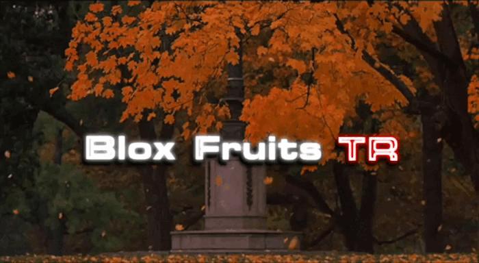 Discovery splash banner for Blox Fruits TR # Çekiliş Discord server