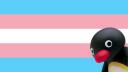 Discovery splash banner for r/TransBr Discord server