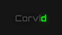 Discovery splash banner for Corvid Community Discord server