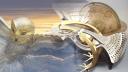 Discovery splash banner for Sur la trace de la Chouette d'Or® Discord server