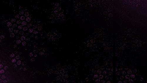 Discovery splash banner for War Seekers Gaming Discord server