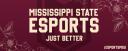Discovery splash banner for MSU Esports Discord server