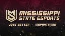Discovery splash banner for MSU Esports Discord server