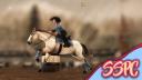 Discovery splash banner for Star Stable Photography Center Discord server