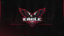 Discovery splash banner for EAGLE TEAM Discord server