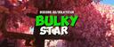 Discovery splash banner for Bulky Star Discord server