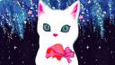Discovery splash banner for Cat Island Discord server