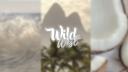 Discovery splash banner for 𝑾𝒊𝒍𝒅 𝑾𝒆𝒔𝒕 Discord server